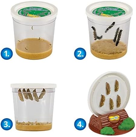 Insect Lore Bug Camp Bundle - Butterfly Kit with 5 Live Caterpillars, Ladybug Land with 1 Tube Live Larvae, Ant Mountain with 1 Tube Live Western Harvester Ants - Bonus Life Cycle Figurines & More-CubbioJoy