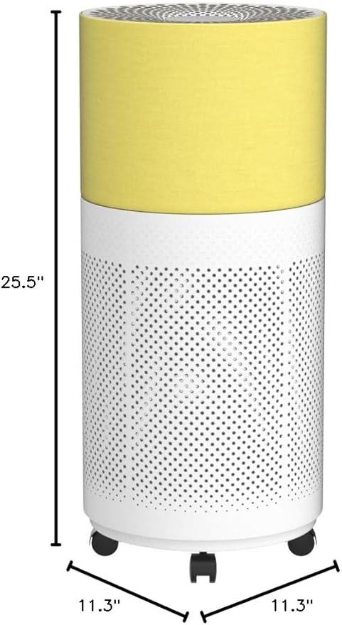 CleanForce Rainbow H13 True HEPA Air Purifier for Home Large Room, Bedroom, up to 2550sqft, Smart App-Control air Quality Monitor, Filters dust Pollen Smoke Odor VOCs-CubbioJoy