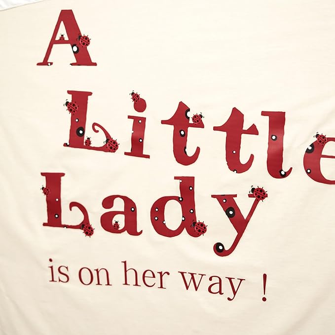 A Little Lady Is On Her Way Decal - Ladybug Party Decorations Supplies Wall Stickers, Girls Birthday/Baby Shower Party Decor Wall Decals, Balloon Arch Backdrop Decoration Ladybug Sign Stickers-CubbioJoy