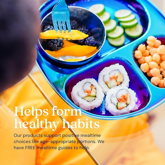 Ahimsa Stainless Steel Kids Plates - Divided Toddler Plates, Pediatrician Designed, Non Toxic Toddler Plate, BPA Free & Dishwasher Safe (Blue Single)-CubbioJoy