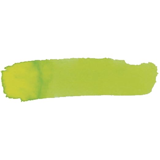 Colorations Liquid Watercolor Paint, 8 fl oz, Lilac, Non-Toxic, Painting, Kids, Craft, Hobby, Fun, Water Color, Posters, Cool effects, Versatile, Gift, Lime-CubbioJoy