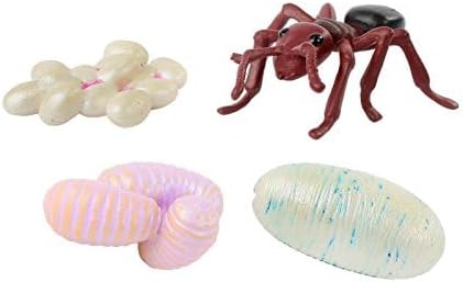 Insect Lore Butterfly Garden - 8" Habitat with 5 Live Baby Caterpillars - Includes Life Cycle Figurines, Stickers, Wind up, Mini Habitat | Birthday or Teacher Gift Set-CubbioJoy