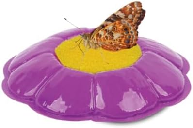Insect Lore Butterfly Garden with Live Cup of Caterpillars | English and Spanish STEM Activity Journals | 5 Painted Lady Butterfly Baby Caterpillars and Mesh Habitat-CubbioJoy