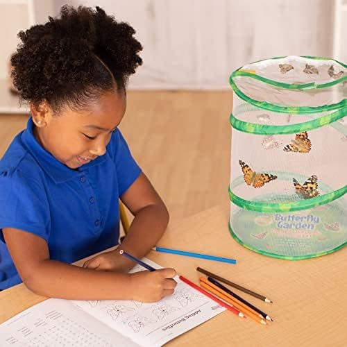 Insect Lore Butterfly Garden with Giant Birthday Card - 5 Live Baby Caterpillars, STEM Activity Journal, Habitat, Chrys-A-Lid Holder, Feeder - Raise and Release Painted Lady Butterflies-CubbioJoy