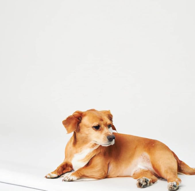 Inspire Super and Ultra Absorbent Reusable Bed Pads (23" X 36" Reusable 2 Pack)-CubbioJoy