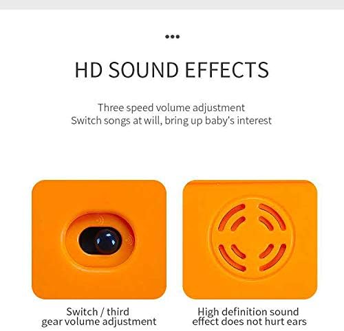 Animal Park Interactive Pop Up Music Toy,Up- Early Education Activity Center Toy, Ages 7 8 9 10 11 12 Months and up Infant Toddlers Toys.-CubbioJoy