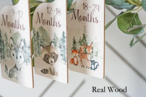 Baby Closet Dividers | Woodland Nursery Decor Closet Dividers for Baby Clothes | Hanging Wooden Baby Clothes Dividers for Closet | NB - 24 Month Baby Closet Size Dividers-CubbioJoy