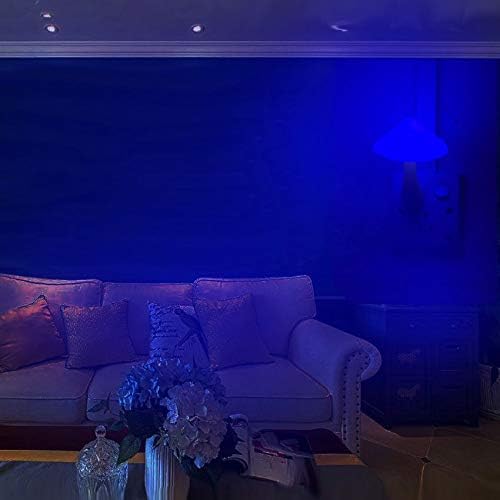 AUSAYE 2Pack LED Night Light Plug in Lamp 7-Color Changing Cute Mushroom Light Sensor Night Lights for Adults Kids NightLight-CubbioJoy