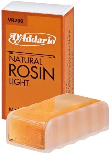 D Z Strad Violin Model 100 with Solid Wood Size 1/4 with Case, Bow, and Rosin-CubbioJoy