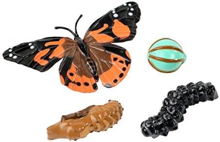 Insect Lore Cup Caterpillars - 5 Live Painted Lady Caterpillars with Food - Includes Figurines - Refill Kit for Butterfly Garden Habitat - STEM Science Activity for Kids and Classrooms-CubbioJoy