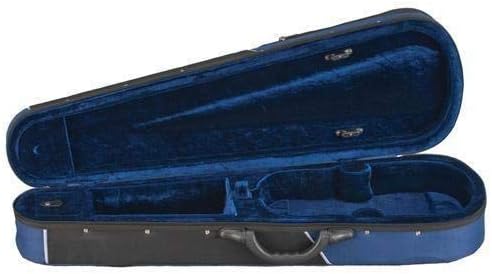 D Z Strad Violin Model 100 Full Size 4/4 with Solid Wood with Case, Bow, and Rosin-CubbioJoy