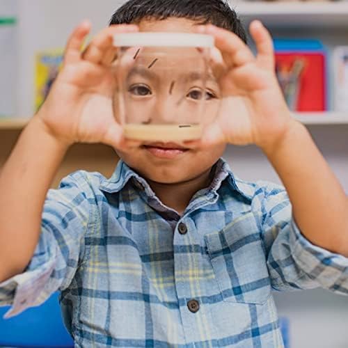 Insect Lore Cup Caterpillars - 5 Live Painted Lady Caterpillars with Food - Includes Figurines - Refill Kit for Butterfly Garden Habitat - STEM Science Activity for Kids and Classrooms-CubbioJoy