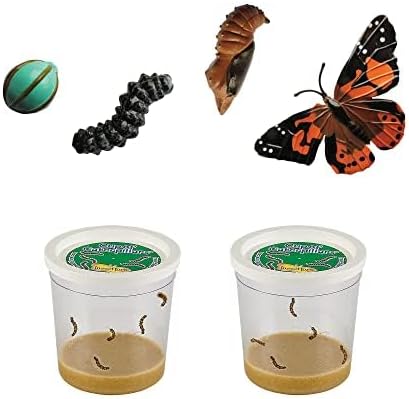 Insect Lore Butterfly Garden with Two Cups of Live Caterpillars, Life Cycle Figurines, English and Spanish Butterfly STEM Activity Journals | 10 Painted Lady Butterfly Baby Caterpillars-CubbioJoy