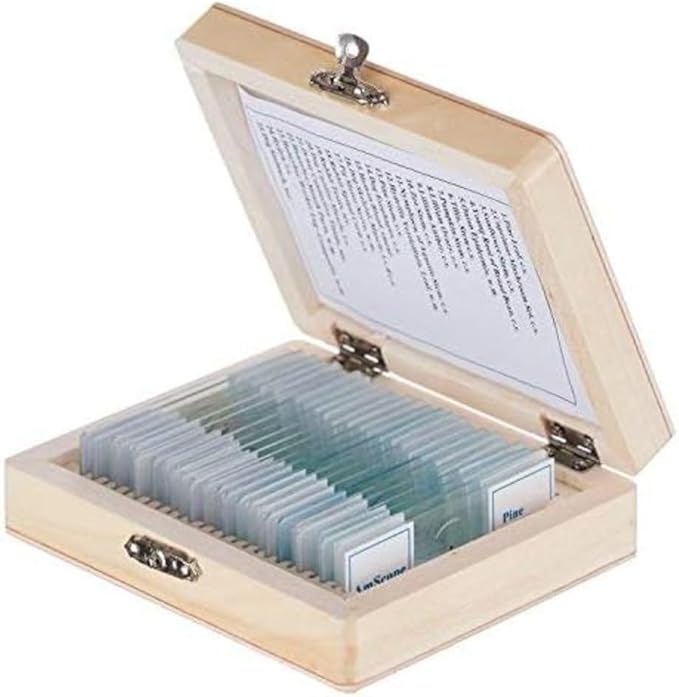 AmScope PS25W Prepared Microscope Slide Set for Basic Biological Science Education, 25 Slides, Includes Fitted Wooden Case-CubbioJoy