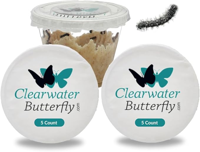 Clearwater Butterfly Live Painted Lady Butterflies - 10 Live Caterpillars - Live Caterpillars to Butterflies - Caterpillars for Butterfly Kit - Mesh Cage Not Included - Live Butterfly Kit - 10 Count-CubbioJoy