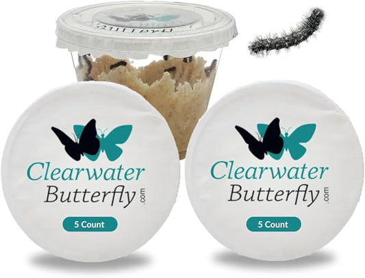 Clearwater Butterfly Live Painted Lady Butterflies - 10 Live Caterpillars - Live Caterpillars to Butterflies - Caterpillars for Butterfly Kit - Mesh Cage Not Included - Live Butterfly Kit - 10 Count-CubbioJoy