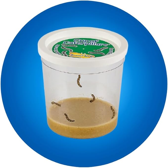 Insect Lore Raise and Release Butterfly Garden Kit – Caterpillar Habitat with redeemable Voucher – STEM-accredited Live Butterfly Growing Kit for Kids, Classrooms, and Homeschool Learning-CubbioJoy