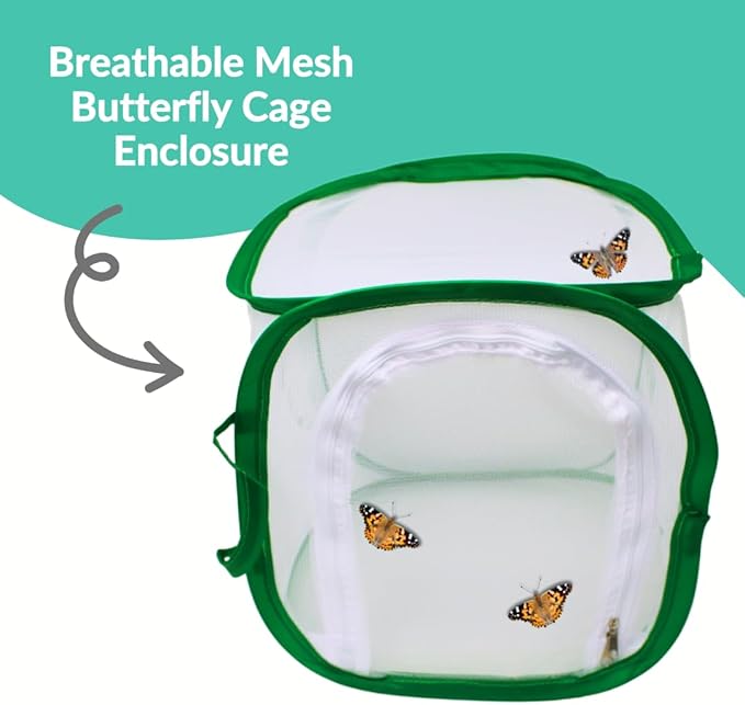 Clearwater Butterfly Live Painted Lady Butterflies - Butterfly Growing Kit with Live Caterpillars - Mesh Cage Included - Butterfly Habitat - 10 Live Caterpillars to Butterflies - Live Butterfly Kit-CubbioJoy