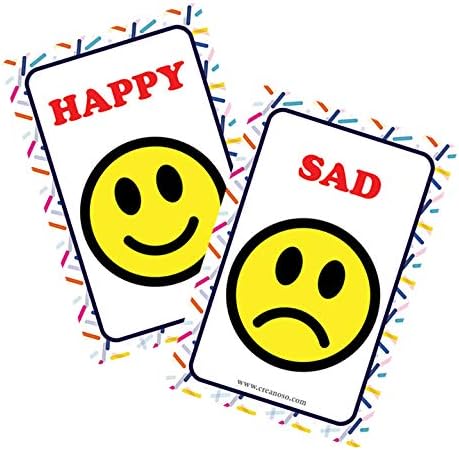 Creanoso US Schools and Learning Flash Cards Series (2-Deck)-CubbioJoy