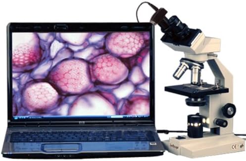 AmScope B100-3M Digital Compound Binocular Microscope, 40X-1000X Magnification, Brightfield, Tungsten Illumination, Abbe Condenser, Plain Stage, Includes 3MP Camera with Reduction Lens and Software-CubbioJoy