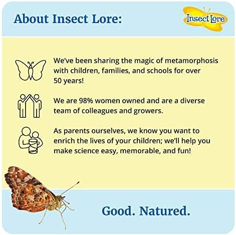 Insect Lore Bug Camp Bundle - Butterfly Kit with 5 Live Caterpillars, Ladybug Land with 1 Tube Live Larvae, Ant Mountain with 1 Tube Live Western Harvester Ants - Bonus Life Cycle Figurines & More-CubbioJoy