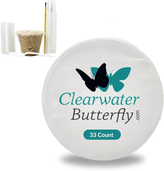 Clearwater Butterfly Live Painted Lady Butterflies - 33 Live Caterpillars Kit - Live Caterpillars to Butterflies - Classroom/School Kit & Habitat - (Suitable for All Ages)-CubbioJoy