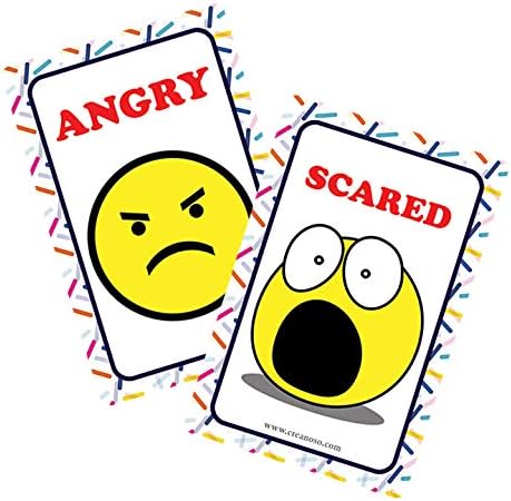 Creanoso US Schools and Learning Flash Cards Series (2-Deck)-CubbioJoy