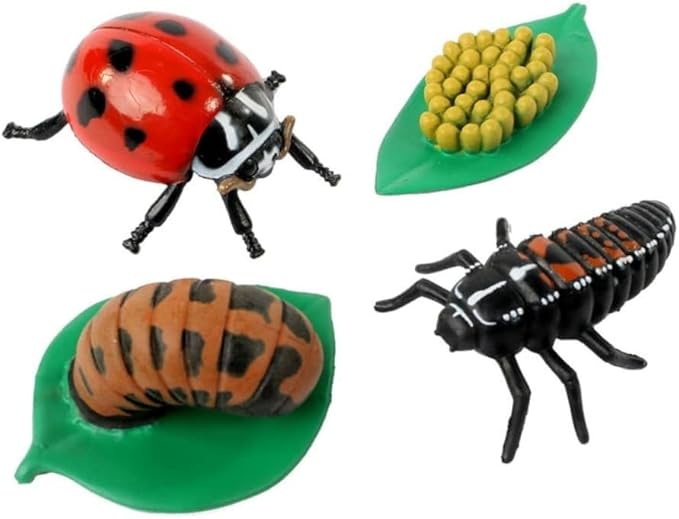 Insect Lore Bug Camp Bundle - Butterfly Kit with 5 Live Caterpillars, Ladybug Land with 1 Tube Live Larvae, Ant Mountain with 1 Tube Live Western Harvester Ants - Bonus Life Cycle Figurines & More-CubbioJoy