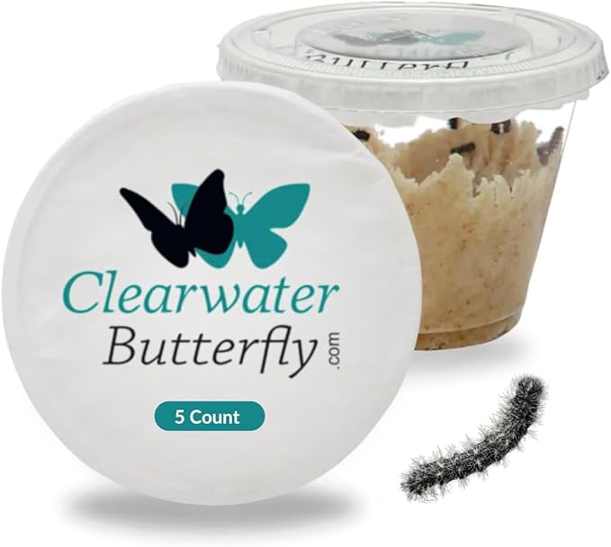 Clearwater Butterfly Live Painted Lady Butterflies - 5 Live Caterpillars - Live Caterpillars to Butterflies - Caterpillars for Butterfly Kit - Mesh Cage Not Included - Live Butterfly Kit - 5 Count-CubbioJoy