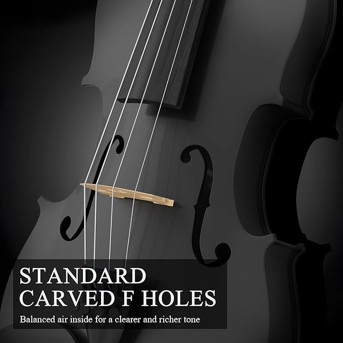 Beginner Violin 4/4, Full Size Violin for Adults, Teens, Student, Acoustic Fiddle Kit with Hard Case, Bow, Rosin, Bridge, Learners Age 12+ (Black)-CubbioJoy