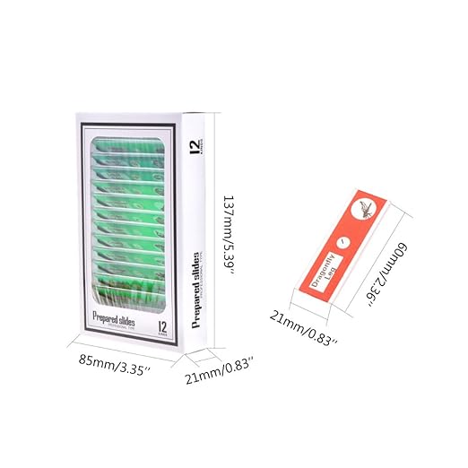 60Pcs Prepared Microscope Slides Specimen Animals Insects Plants Flowers Sample Biological Specimen, Stereo Microscope Slide for Kids Children Students Enlighten Education-CubbioJoy