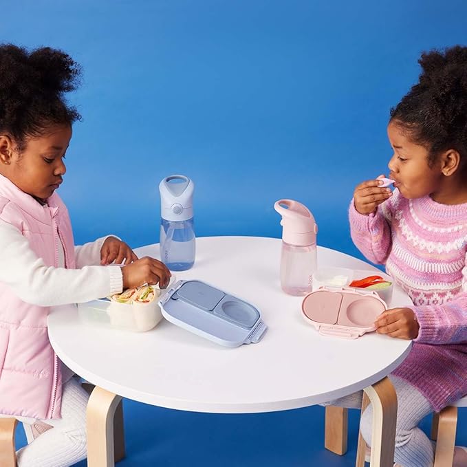 b.box Snack Containers for Kids, Toddler Snack Box Container, Reusable Small Bento Box for Lunch, School & Travel, Leak Proof, BPA free, Dishwasher Safe, Ages 4 months+ (Blush Crush, 12oz capacity)-CubbioJoy