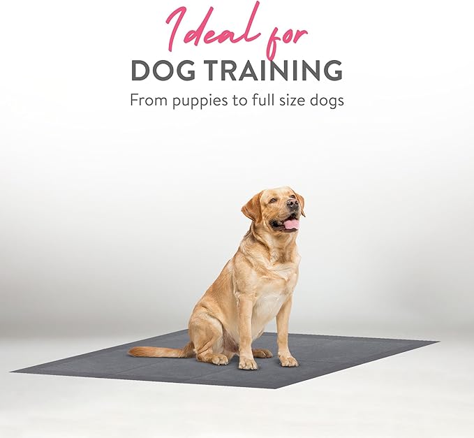 Inspire XL 36 x 36 Ultra Underpads Incontinence Bed Pads | Contemporary Modern Design | Hospital Bed Pads Disposable Adult Extra Large Chux Pads | Chucks Pads Disposable Adult | Medical Bed Linens.-CubbioJoy