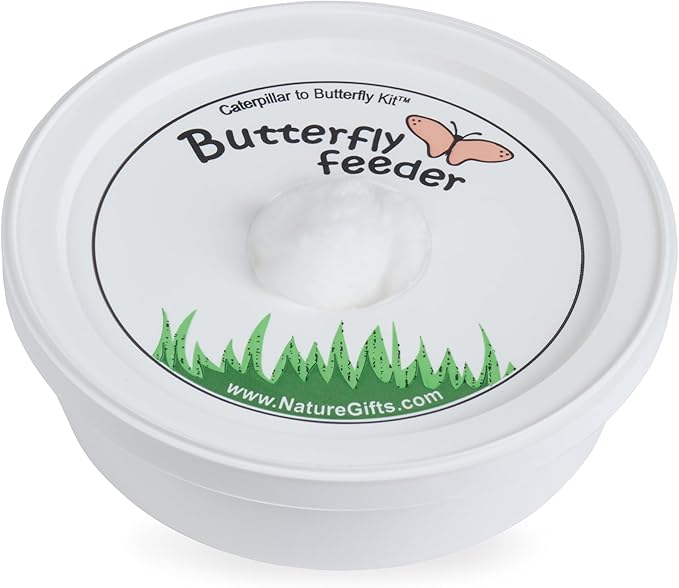 32 Live Caterpillars Shipped Now: Butterfly Kit Refill for School Sized Kit with Extra Larva Rearing Supplies and 32 Little Cups by Nature Gift Store-CubbioJoy