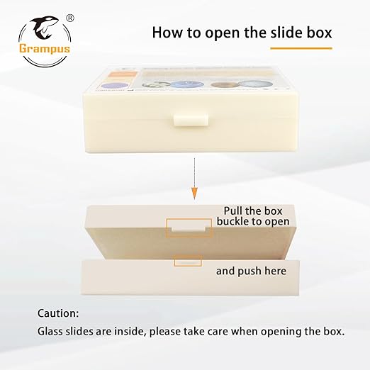 30 Prepared Microscope Slides with Specimens for Kids Students-Animal and Plant Microscope Slide Sets - Random Delivery (Either One Set) for Biological Lab, Children's Science Education, Homeschooling-CubbioJoy