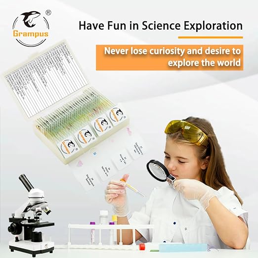 30 Prepared Microscope Slides with Specimens for Kids Students-Animal and Plant Microscope Slide Sets - Random Delivery (Either One Set) for Biological Lab, Children's Science Education, Homeschooling-CubbioJoy