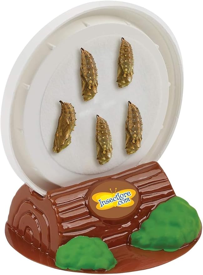 Insect Lore Butterfly Garden with 5 Live Baby Caterpillars - STEM Activity Journal, Habitat, Chrys-A-Lid Holder and Feeder Included | Raise and Release Painted Lady Butterflies-CubbioJoy