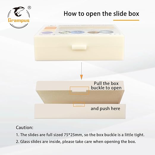 30 Prepared Microscope Slides with Specimens for Kids Students - Histology, for Biological Science Lab, Children's Science Education, Homeschooling Use-CubbioJoy