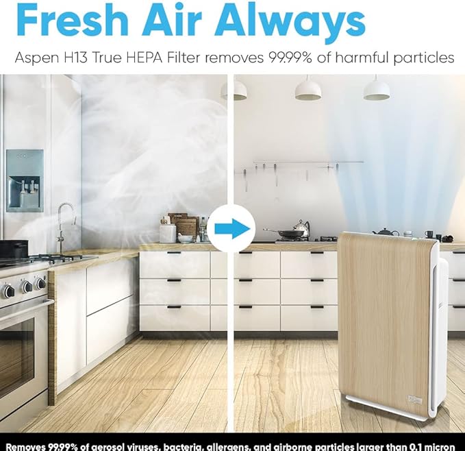 Aspen One Button Air Purifiers for Home, Cleans 1500 SqFt in 50min and 362 SqFt in 12min, HEPA Air Purifier with Automatic and App Control - Filtrate 99.97% of Smoke, Pollen, and more - Gold Oak-CubbioJoy