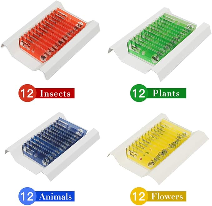 48 Prepared Microscope Slides Set of Animals Insects Plants Flowers, Biological Learning Resource Specimens for Kids Beginner Classroom Basic Science Education-CubbioJoy