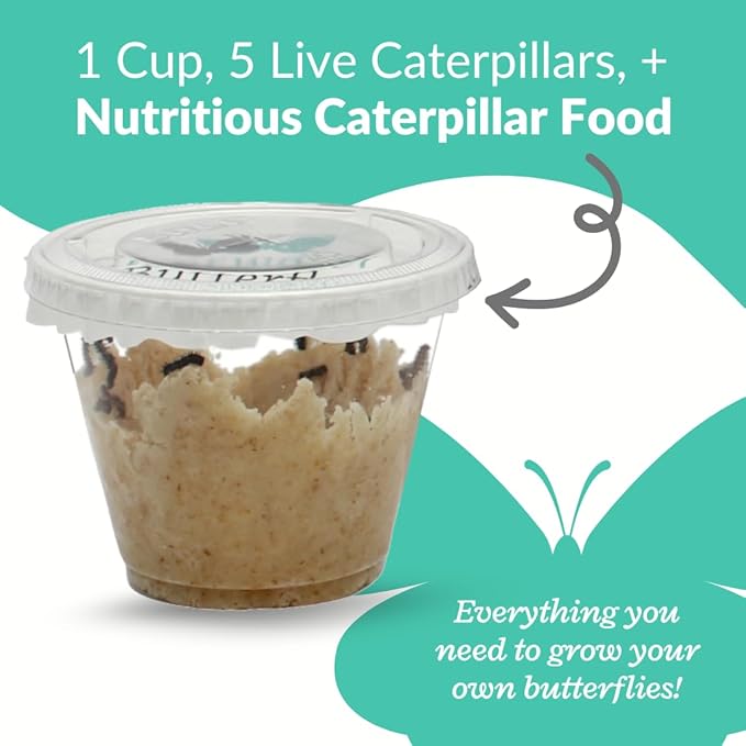 Clearwater Butterfly Live Painted Lady Butterflies - Butterfly Growing Kit with Live Caterpillars - Mesh Cage Included - Butterfly Habitat - 5 Live Caterpillars to Butterflies - Live Butterfly Kit-CubbioJoy