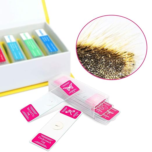 35PCS Prepared Microscope Slides with 7 Types Specimens, Insect/Plant Glass Sample Slide for Kids Adults Family Preschool Education Scientific Enlightenment-CubbioJoy
