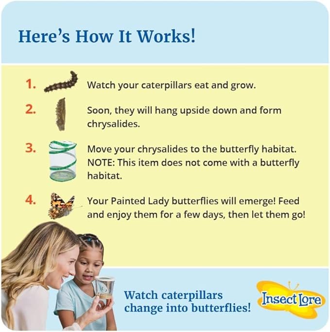 Insect Lore Two Cups of Live Caterpillars - 10 Live Painted Lady Caterpillars with Food - Includes Bonus Butterfly Life Cycle Figurines - Refill for Butterfly Garden Habitat-CubbioJoy