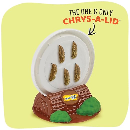 Insect Lore Cup of Caterpillars - 5 Live Painted Lady Caterpillars with Food - Refill for Butterfly Garden Kit - Stickers & Chrys-A-Lid Holding Log Included - STEM Learning Activity-CubbioJoy