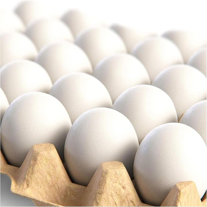 CALPALMY 24 Pieces Hyper-Realistic White Wooden Eggs - 2 Dozen Fake Easter Eggs for Painting, Decorating, Crafting, Pretend Play, Simulation Toys, Fake Food, Nest Box Training-CubbioJoy