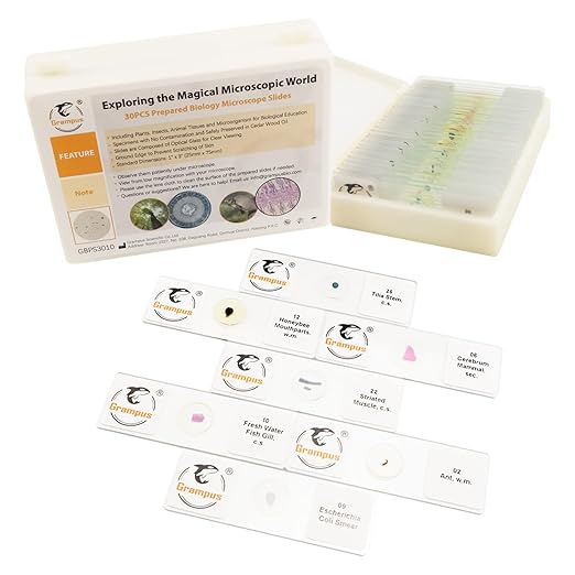 30 Prepared Microscope Slides with Specimens for Kids Students - Animals Plants Insects Microorganism, for Biological Science Lab, Children's Science Education, Homeschool-CubbioJoy