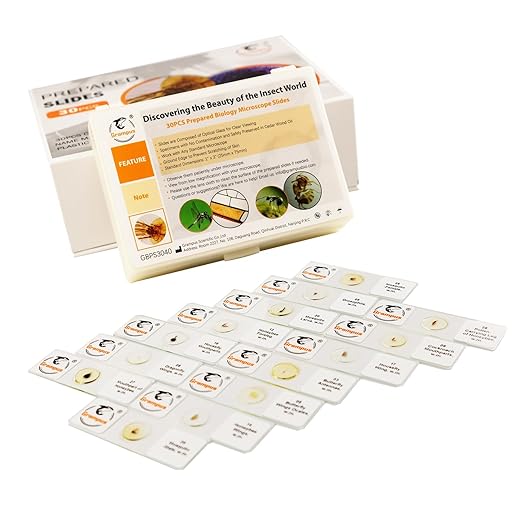 30 Prepared Microscope Slides with Specimens for Kids Students - Insects, for Biological Science Lab, Children's Science Education, Homeschooling Use-CubbioJoy