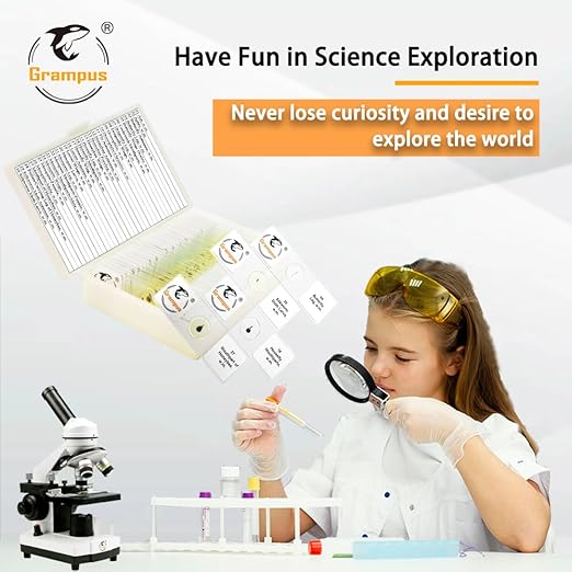 30 Prepared Microscope Slides with Specimens for Kids Students - Insects, for Biological Science Lab, Children's Science Education, Homeschooling Use-CubbioJoy