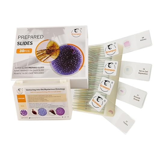30 Prepared Microscope Slides with Specimens for Kids Students - Histology, for Biological Science Lab, Children's Science Education, Homeschooling Use-CubbioJoy