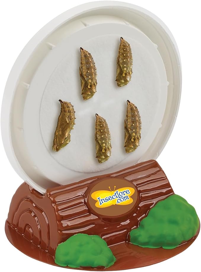 Insect Lore Butterfly Garden with Live Cup of Caterpillars | English and Spanish STEM Activity Journals | 5 Painted Lady Butterfly Baby Caterpillars and Mesh Habitat-CubbioJoy